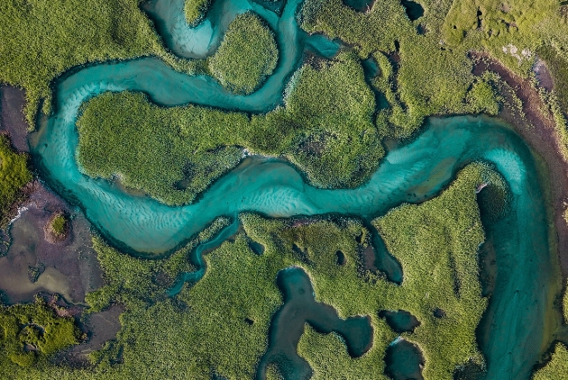 Aerial view of a mangrove